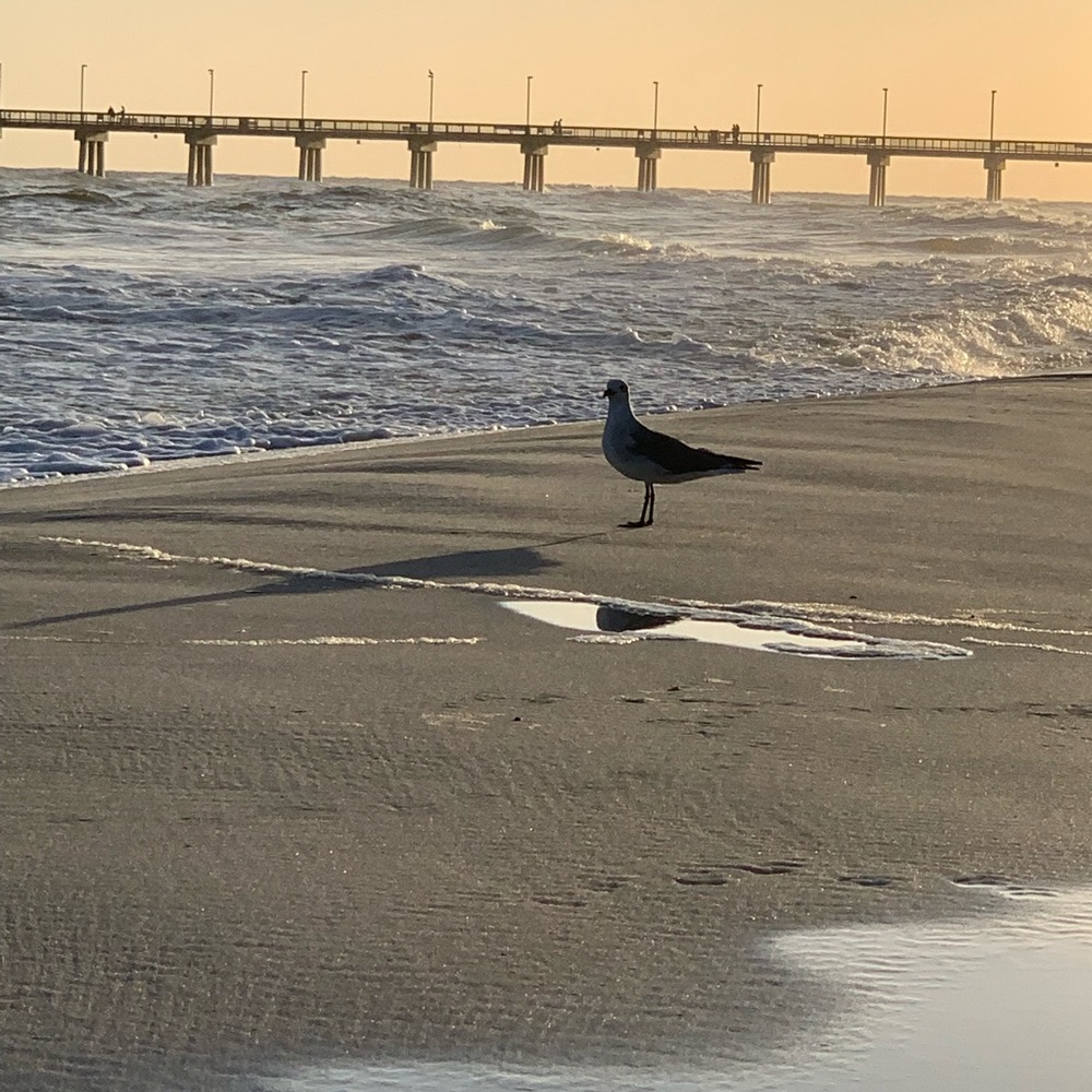 Meet your Posher, Marcia